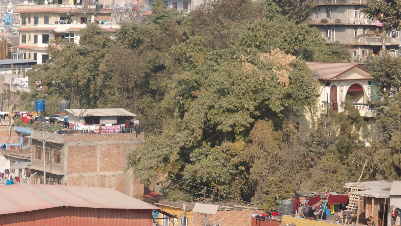 2018-01-20 15 Uhr - The Boudha Inn, Auf'm Dach (Audio, Foto, Video) 